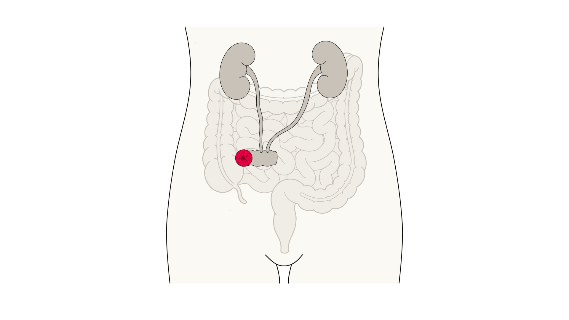 Imagens website PEP - 15